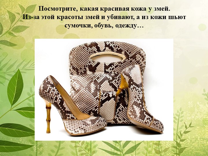 Мы в ответе за нашу планету