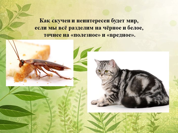Мы в ответе за нашу планету