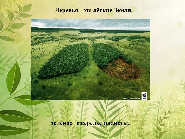 Мы в ответе за нашу планету