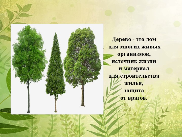 Мы в ответе за нашу планету