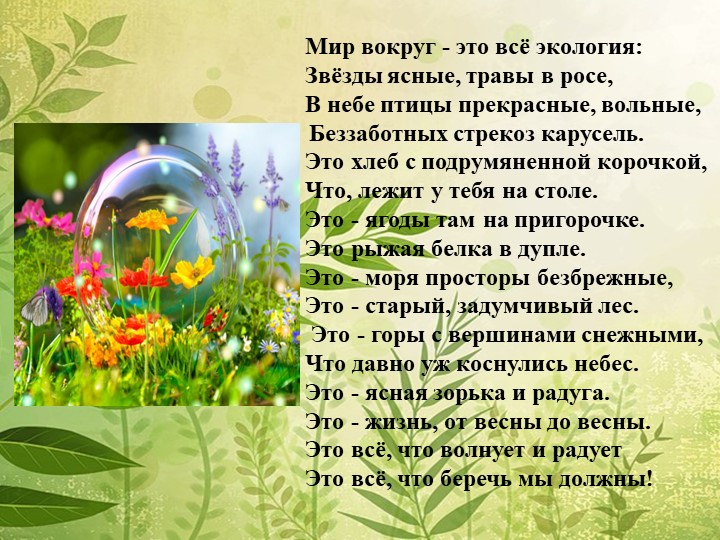 Мы в ответе за нашу планету