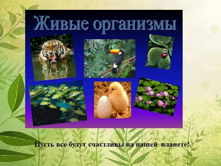 Мы в ответе за нашу планету