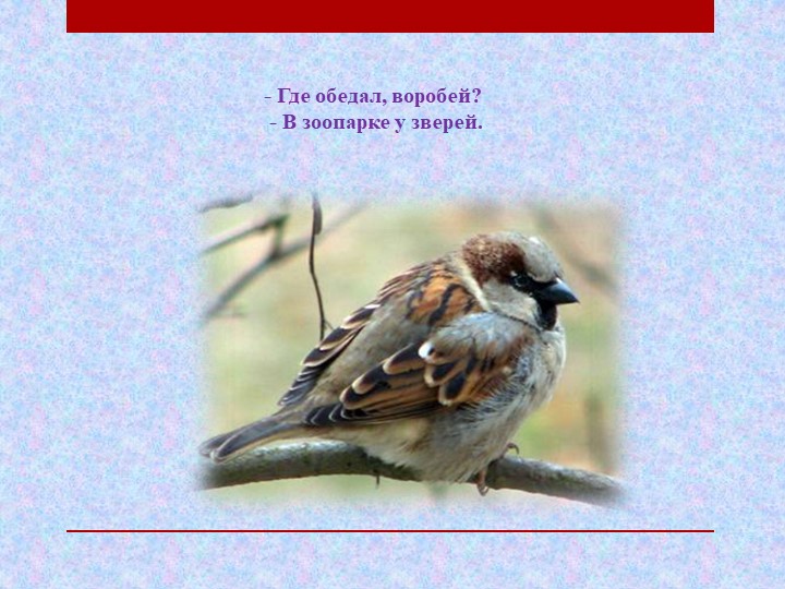 Презентация по чтению художественной литературы на тему "Где обедал воробей" С.Я. Маршак