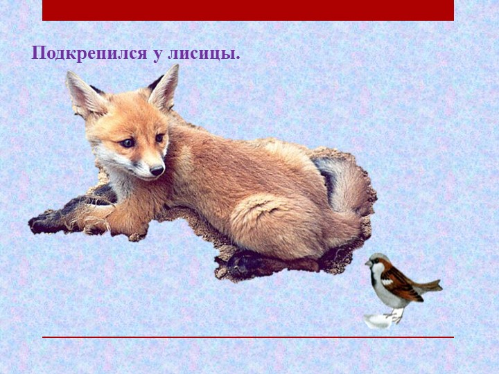 Презентация по чтению художественной литературы на тему "Где обедал воробей" С.Я. Маршак
