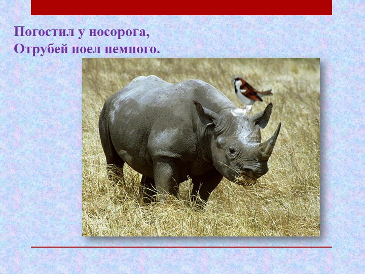 Презентация по чтению художественной литературы на тему "Где обедал воробей" С.Я. Маршак