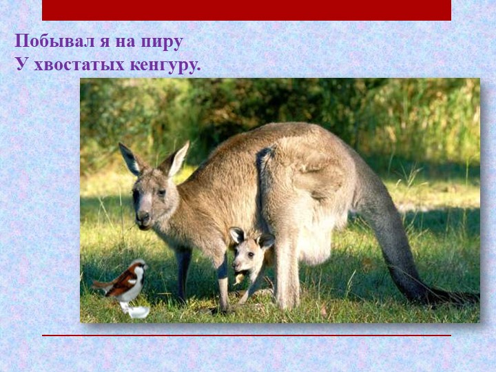 Презентация по чтению художественной литературы на тему "Где обедал воробей" С.Я. Маршак