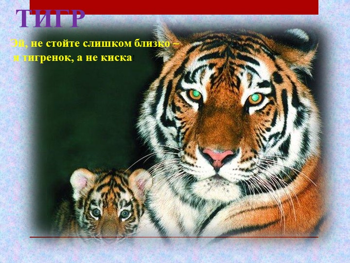 Презентация по чтению художественной литературы на тему "Где обедал воробей" С.Я. Маршак