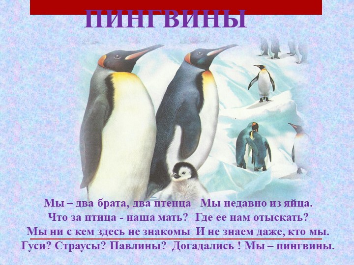 Презентация по чтению художественной литературы на тему "Где обедал воробей" С.Я. Маршак