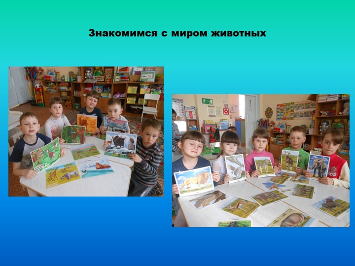 Презентация проекта "Земля- наш общий дом"