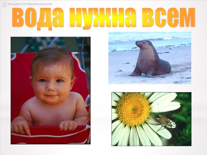 Презентация к проектной деятельности "Путешествие капельки"