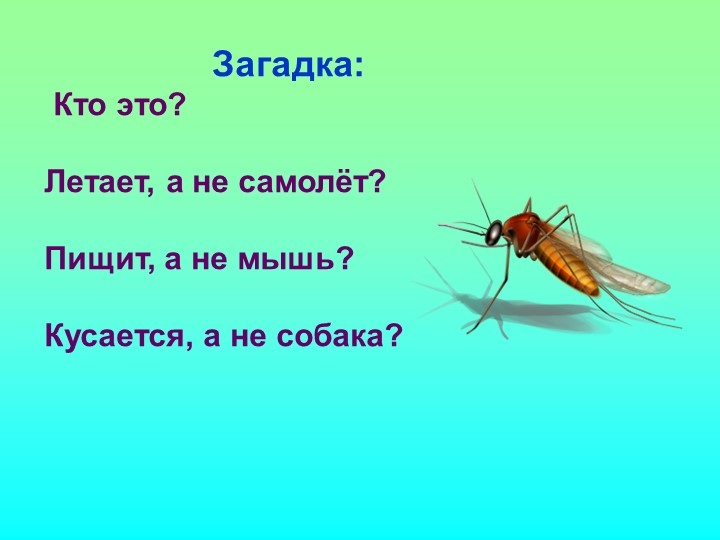 Презентация на тему: "Загадка как средство развития речи детей дошкольного возраста"