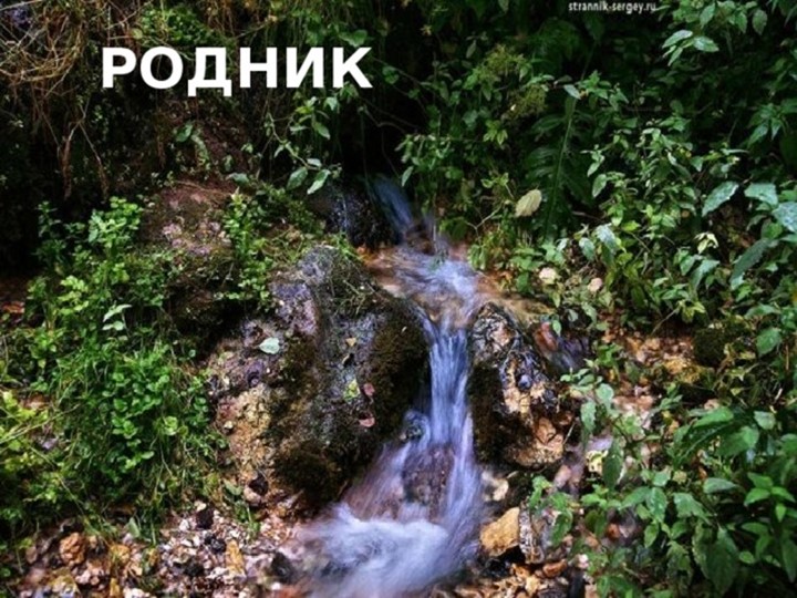 Презентация на тему "Волшебница вода"