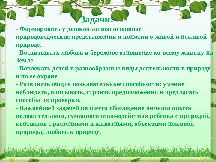 Презентация по экологии "Формирование экологического воспитания у дошкольников ".