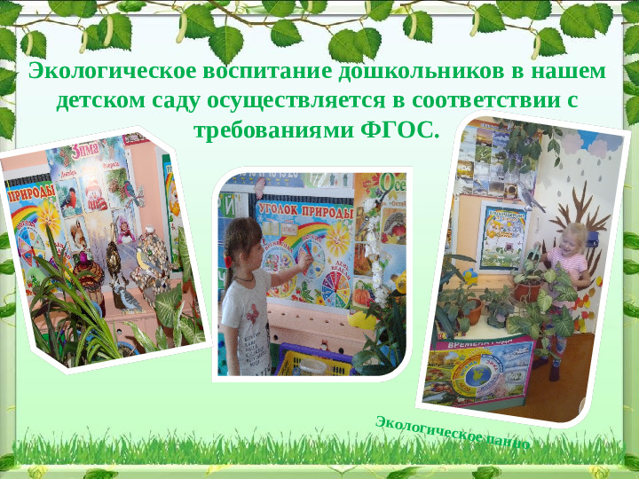 Презентация по экологии "Формирование экологического воспитания у дошкольников ".