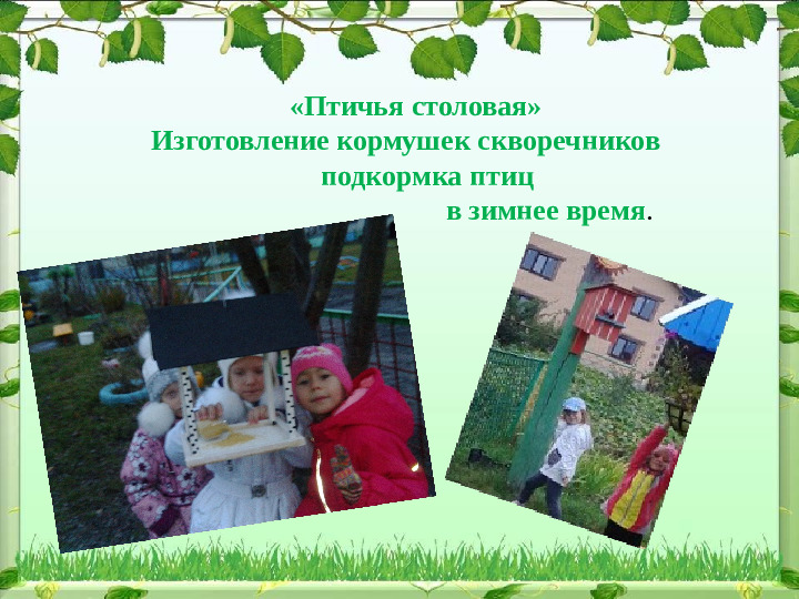 Презентация по экологии "Формирование экологического воспитания у дошкольников ".