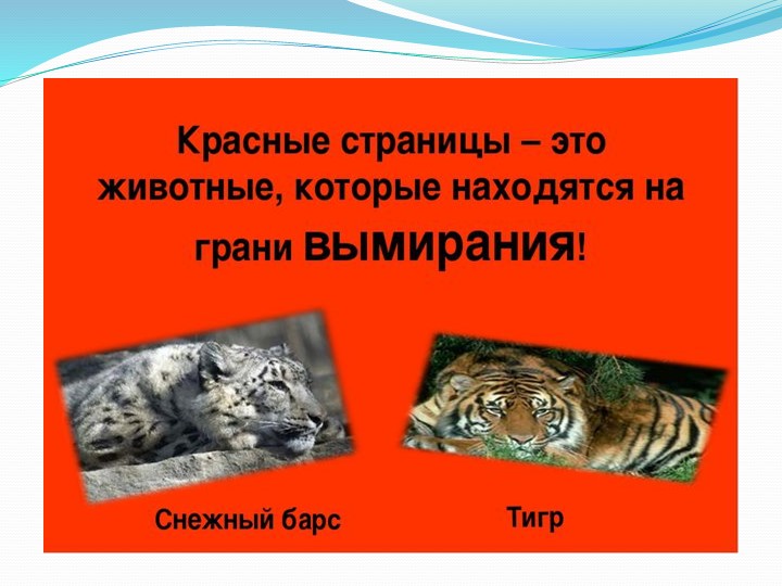 Презентация к занятию по экологии «Красная книга»