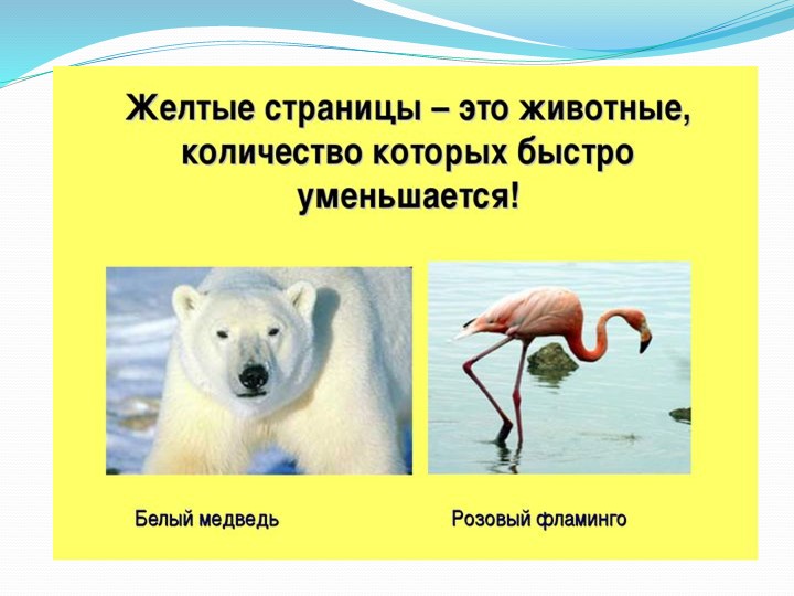 Презентация к занятию по экологии «Красная книга»