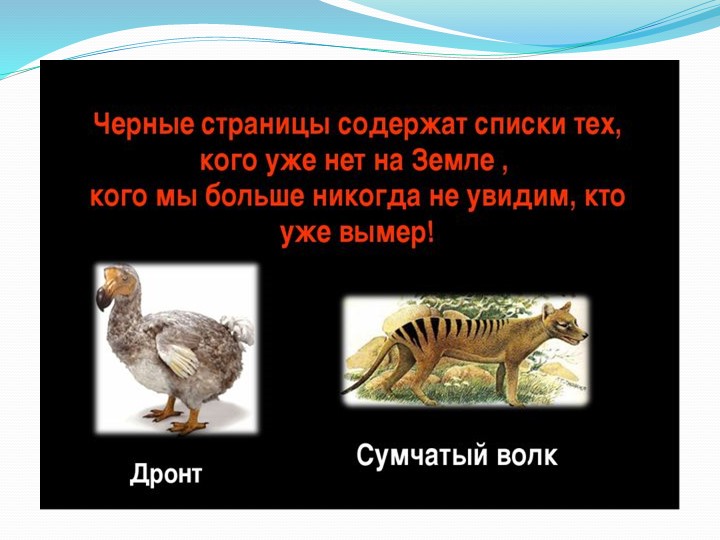 Презентация к занятию по экологии «Красная книга»