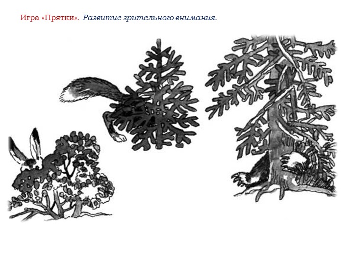 Презентация. Индивидуальное логопедическое занятие. "путешествие по сказке "Теремок" (Дикие животные). Средний дошкольный возраст.
