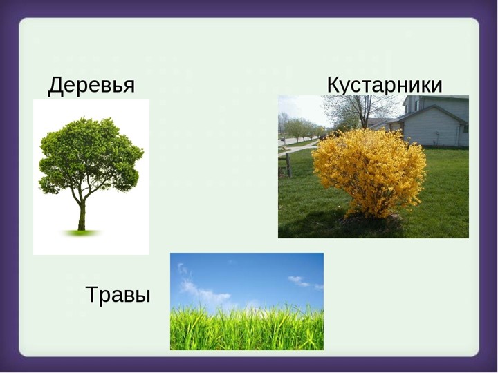Презентация к итоговому мероприятию "Малая частичка Родины"