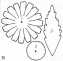Shape2