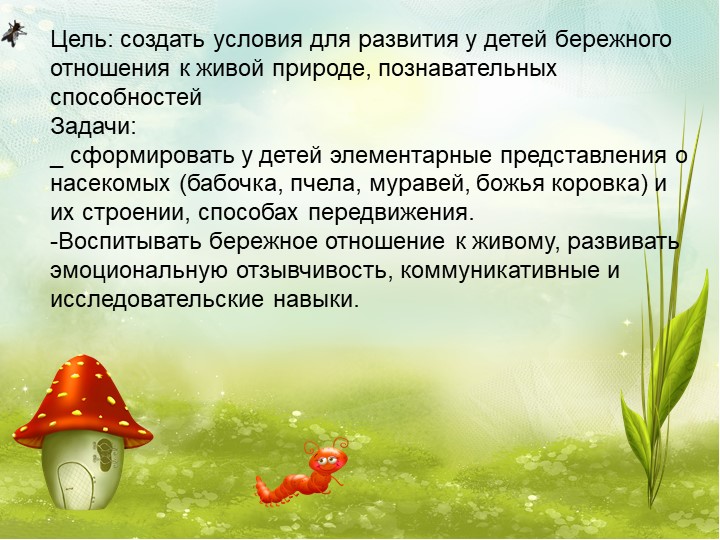 Презентация по экологии на тему "Насекомые"