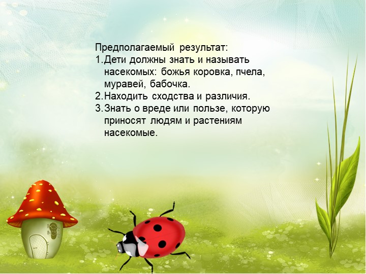 Презентация по экологии на тему "Насекомые"
