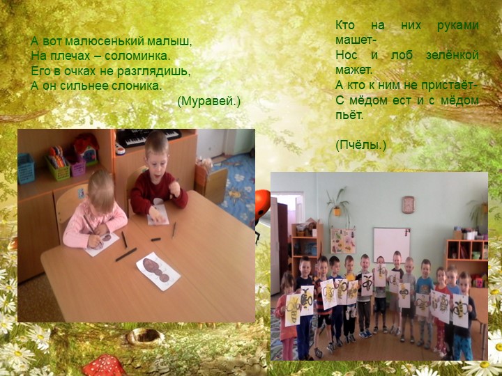 Презентация по экологии на тему "Насекомые"