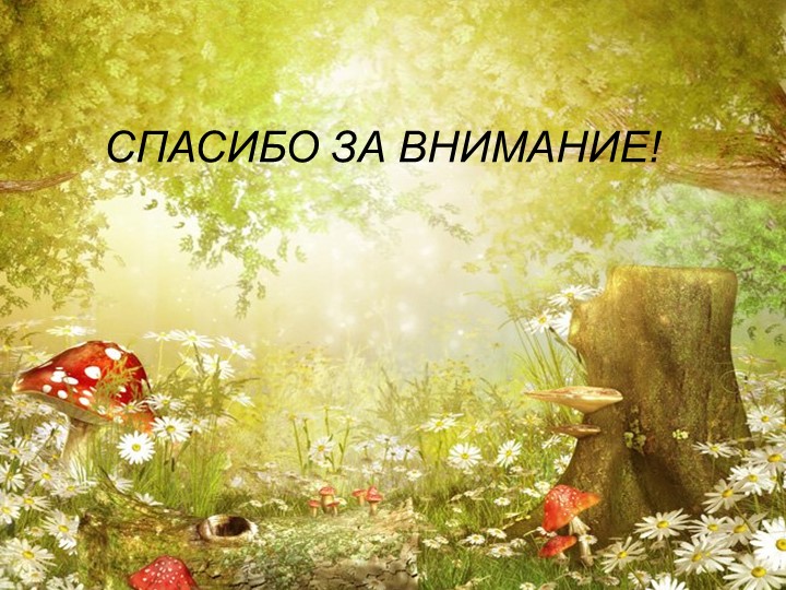 Презентация по экологии на тему "Насекомые"