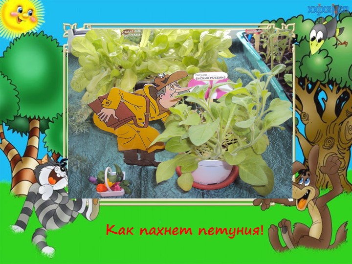 Презентация: "Огород на окне"