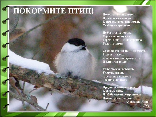 Проект по экологическому воспитанию детей