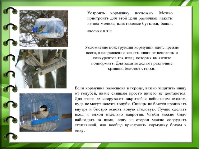 Проект по экологическому воспитанию детей