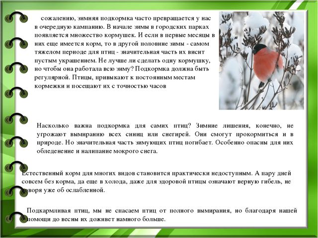 Проект по экологическому воспитанию детей