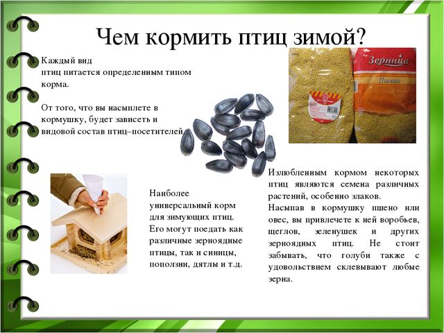 Проект по экологическому воспитанию детей