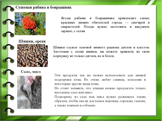 Проект по экологическому воспитанию детей