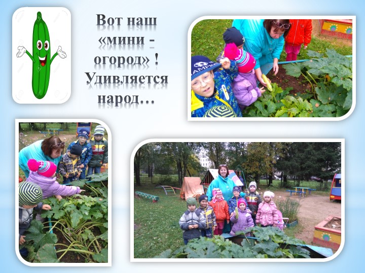 Презентация к здоровьесберегающему проекту для детей с задержкой психического развития" Витамины с грядки"
