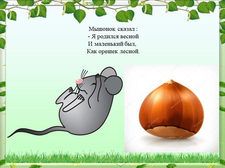 Презентация по окружающему миру