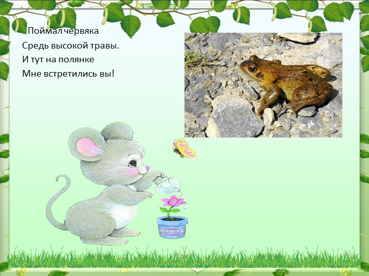 Презентация по окружающему миру
