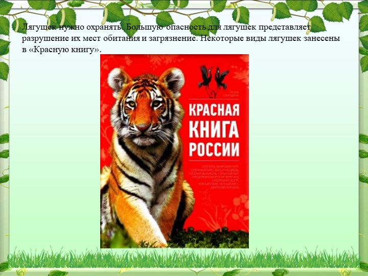Презентация по окружающему миру
