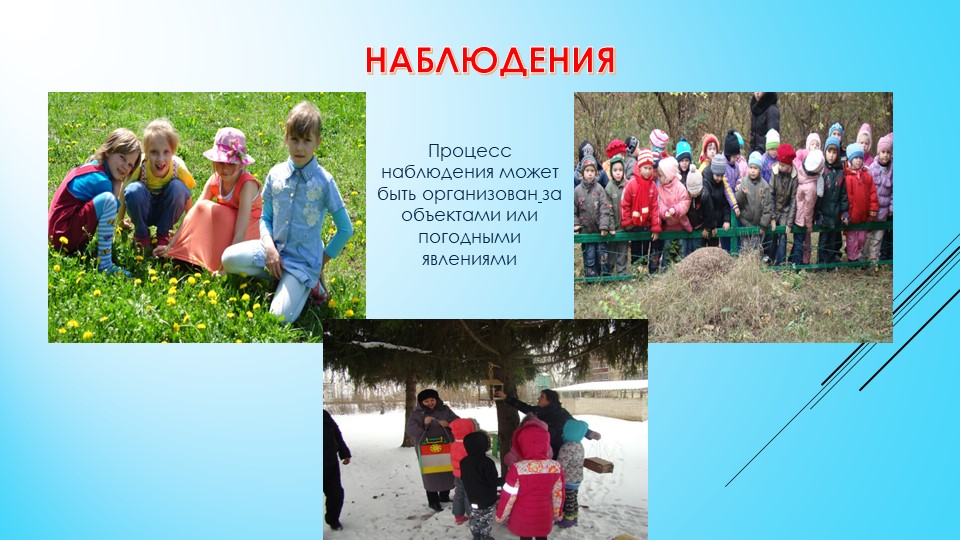 Презентация "Прогулка"(детский сад, старшая группа)