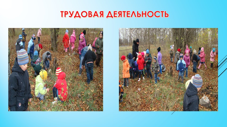 Презентация "Прогулка"(детский сад, старшая группа)