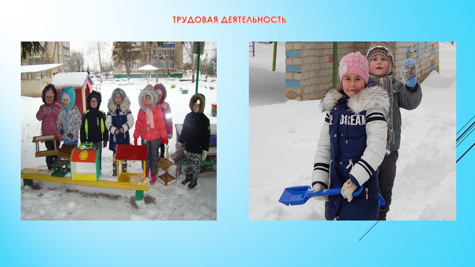 Презентация "Прогулка"(детский сад, старшая группа)