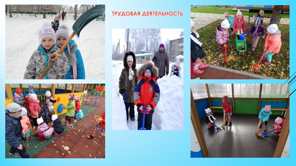 Презентация "Прогулка"(детский сад, старшая группа)