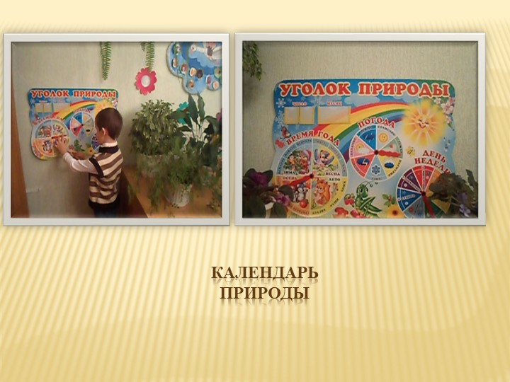 Презентация " Экологическое воспитание дошкольников" "Давай дружить с природой"