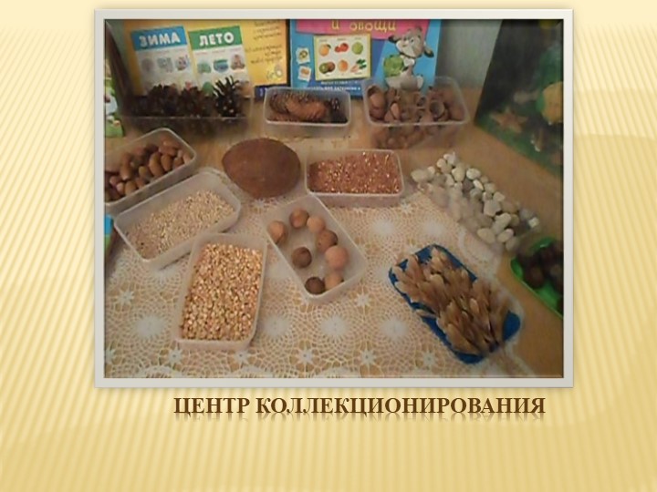 Презентация " Экологическое воспитание дошкольников" "Давай дружить с природой"