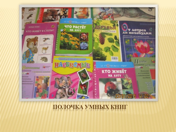 Презентация " Экологическое воспитание дошкольников" "Давай дружить с природой"