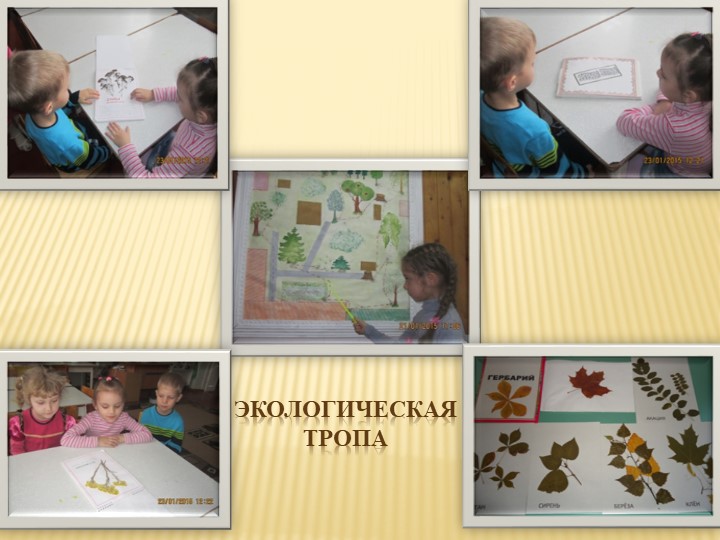 Презентация " Экологическое воспитание дошкольников" "Давай дружить с природой"