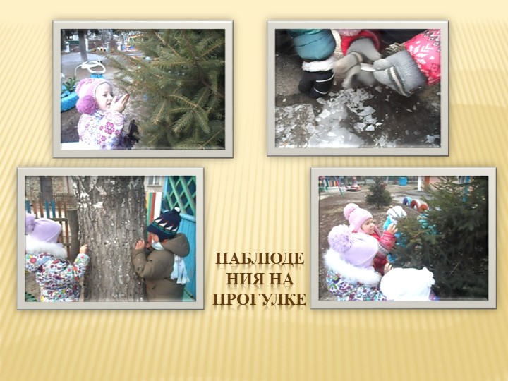 Презентация " Экологическое воспитание дошкольников" "Давай дружить с природой"