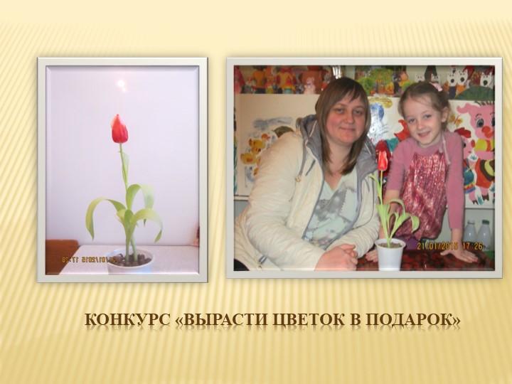 Презентация " Экологическое воспитание дошкольников" "Давай дружить с природой"