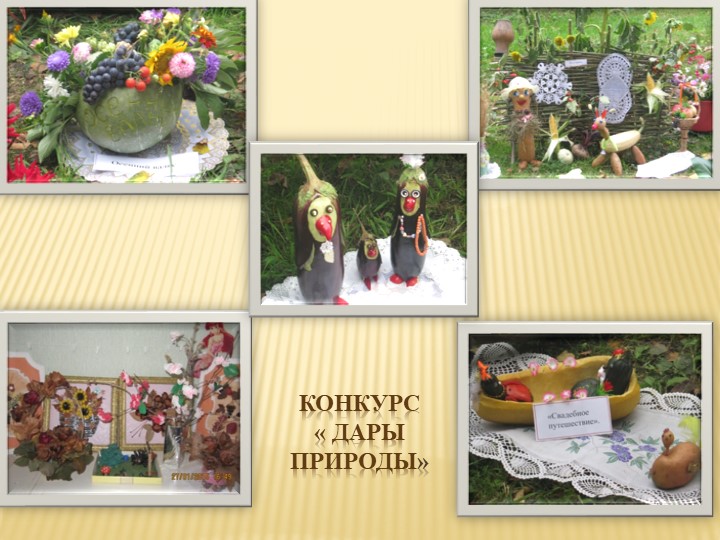 Презентация " Экологическое воспитание дошкольников" "Давай дружить с природой"